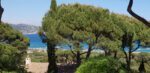 Olivade-Blick aufs Meer